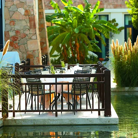 Grecotel Luxme Kos אתר נופש 5*